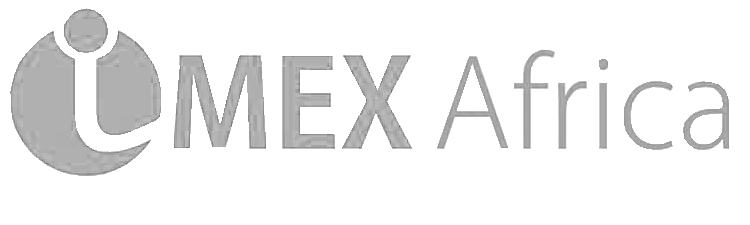 imex_africa_logo